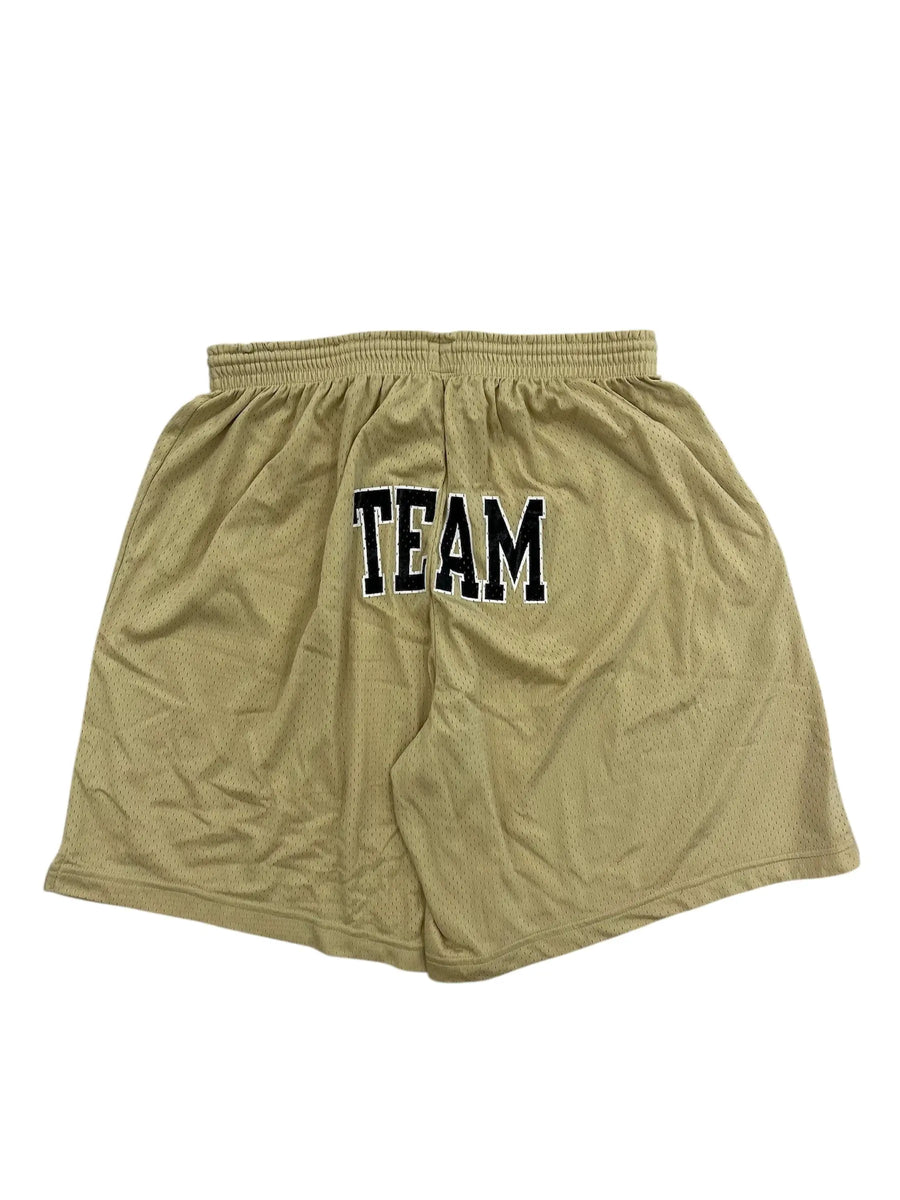 Vintage 90s Purdue Graphic shorts - L Hammered Threads